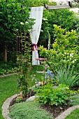 Flowerbed and gathered, white lace curtain hanging from pergola in garden