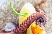 Ausschnitt von Tintenfischsalat mit karamellisierten Zwiebeln (Restaurant Casamar, Llafranc, Empordà, Katalonien, Spanien)