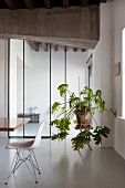 Weißer Klassikerstuhl und Grünpflanze vor Glasschiebetür in renoviertem Loft mit Betonträger und Kunstharzboden
