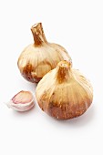 Two bulbs of smoked garlic