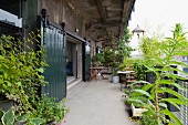 Terrasse eines Lofts mit Pflanzentöpfen, gegenüber offene Vintage Schiebetür