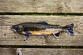 Sea trout on a wooden board