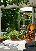 Blick durch offene Schiebetür eines Anbaues auf Pflanzen im Topf auf sonnenbeschienener Terrasse