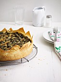 Spinach and feta cheese cake