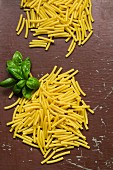 Pasta and basil