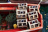 Fish traps on a fishing boat