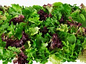 Mixed lettuce leaves (seen from above)