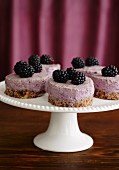 Mini cheesecakes with blackberries