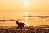 A small child collecting shells by the sea at sunset