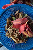 Bombak (edible flower, Thailand) in a plastic basket