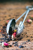 Dried tea leaves with rose buds in vintage tea strainer on a wooden surface