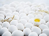 Viele Eier mit Stroh und ein geöffnetes, weich gekochtes Ei