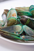 A plate of fresh mussels (Bangkok, Thailand)