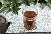 Teeglas mit Schwarzem Tee, Teekanne und frische Teeblätter