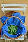 A basket of freshly harvested green beans on a folding chair
