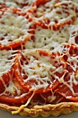 A tomato tart with onions and cheese (detail)