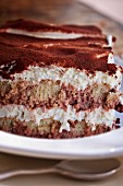 Tiramisu (Close Up)