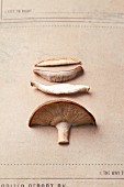 A sliced shiitake mushroom
