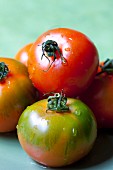 Sizilianische Tomaten mit Wassertropfen