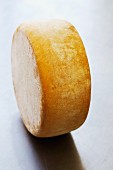 A mature wheel cheese
