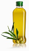 A bottle of olive oil, a sprig of olive leaves and green olives
