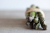 A bundle of green asparagus (close-up)