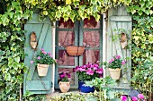 Window shutters decorated with old clogs, potted roses and geraniums