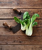 Bok choy with a mezzaluna on a wooden surface