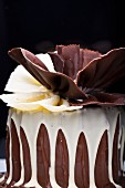 A festive chocolate cake with a chocolate fan