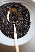 Chia seeds in a bowl with a spoon