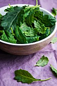 Young kale leaves in a bowl