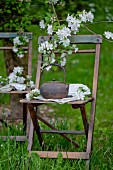 A teapot on a chair decorated with apple blossom