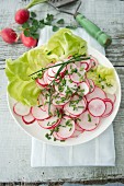 Radish salad with chives