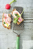 Slices of bread with crème fraîche, grated radishes and a whole radish