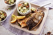 Fried trout fillets with a celery and tomato salad