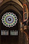 Rosette an der Westfassade, Silbermann Orgel im Vordergrund, Kathedrale in Straßburg