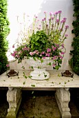 Pink-flowering plant in antique white urn on vintage stone bench