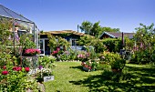 Greenhouse and Scandinavian summer houses in flowering garden under blue sky