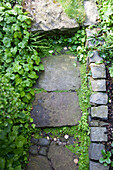 Ausschnitt eines Gartenweges aus Natursteinplatten und Randsteinen