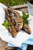 Grilled herring on a wooden crate