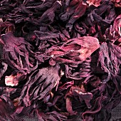 Dried hibiscus flowers, full frame