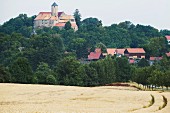 Burg Schönfels (Umkreis Zwickau) im Erzgebirge
