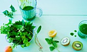 Ingredients for green spring smoothie