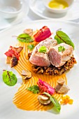 Veal fillet on a bed of risotto with sunflower seeds, pumpkin seeds and hazelnuts on a pumpkin purée