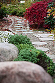Round stepping stones in gravel path leading through Japanese garden