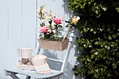 Bottles of flowers in window box on wooden chair against white wooden wall