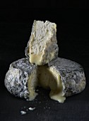 Angeschnittener reifer Käse der Sorte Selles sur Cher (Ziegenkäse, Frankreich)