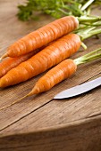 Fresh carrots on a wooden table with a knife