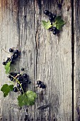 Schwarze Johannisbeeren mit Blättern auf Holzuntergrund