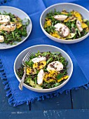 Rocket salad with quinoa, avocado and mango with grilled chicken breast and ginger vinaigrette